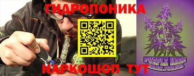 стаф Кулебаки