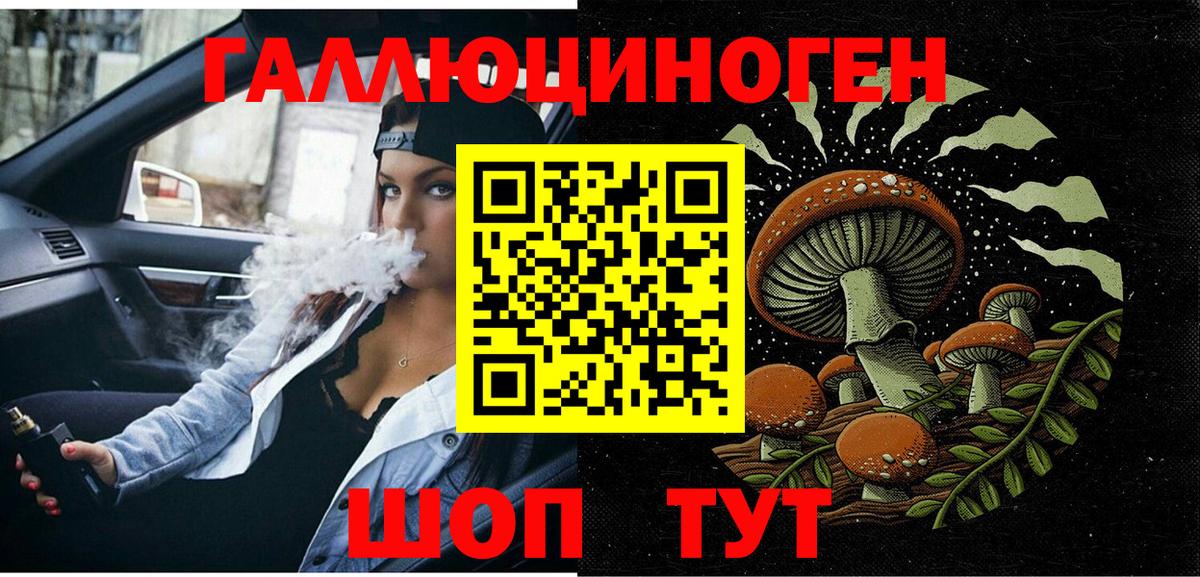 Галлюциногенные грибы Psilocybe  Вход с VPN  Ессентуки 